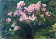 Charles-Amable Lenoir Study of Azaleas Germany oil painting artist